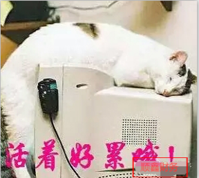 好消息,特大,注冊(cè)公司,免費(fèi),啦,為,答謝,新老,