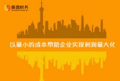 我國(guó)政府審計(jì)常用的經(jīng)濟(jì)責(zé)任指標(biāo)有哪些